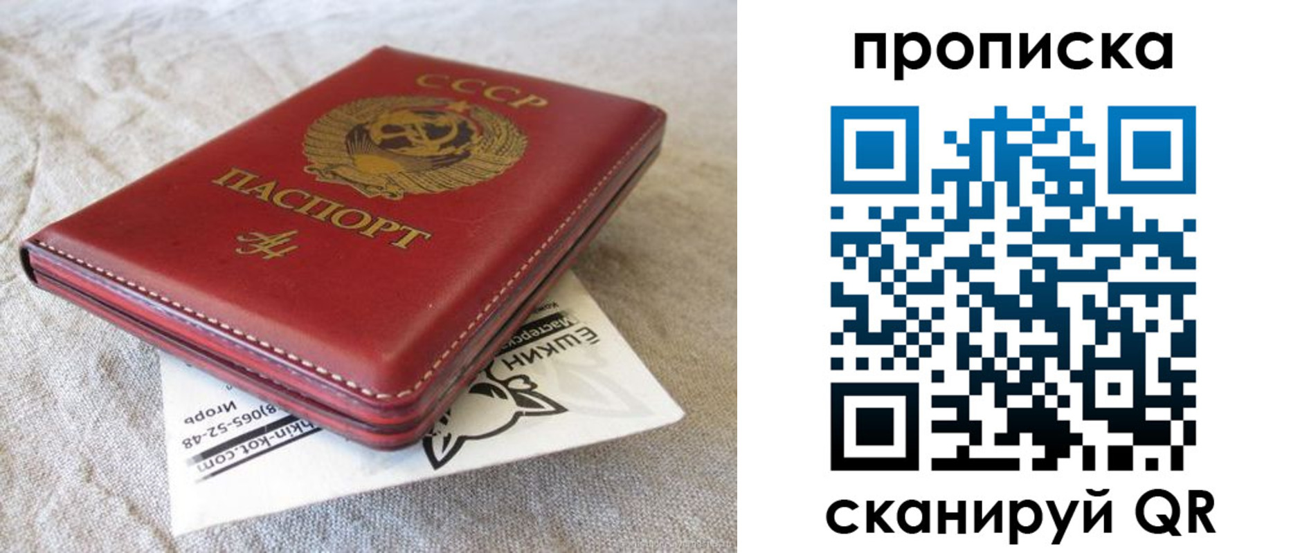 прописка для школы в Омске